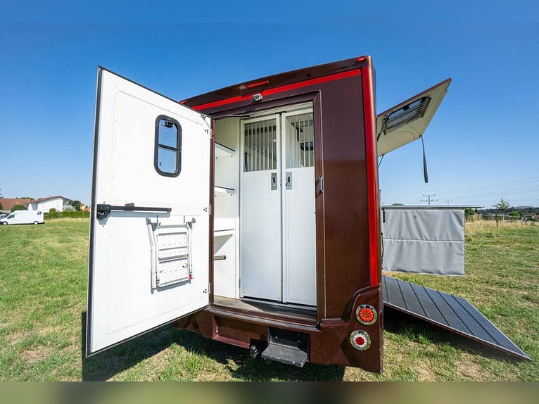 Transportín para caballos, equipado para caballos, 5 plazas, con solo 43,300 km, aire acondicionado,