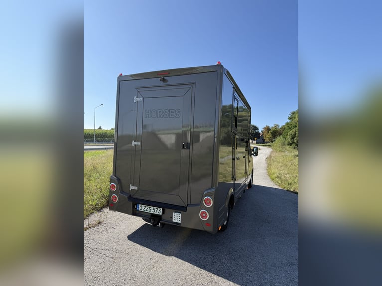 Transportín para caballos Renault Master, nuevo, con capacidad para 5 plazas. Ideal para caballos de