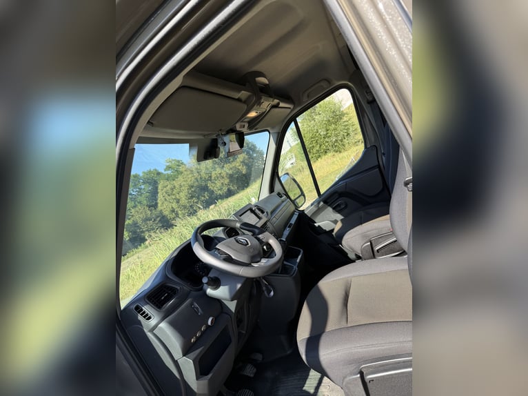 Transportín para caballos Renault Master, nuevo, con capacidad para 5 plazas. Ideal para caballos de
