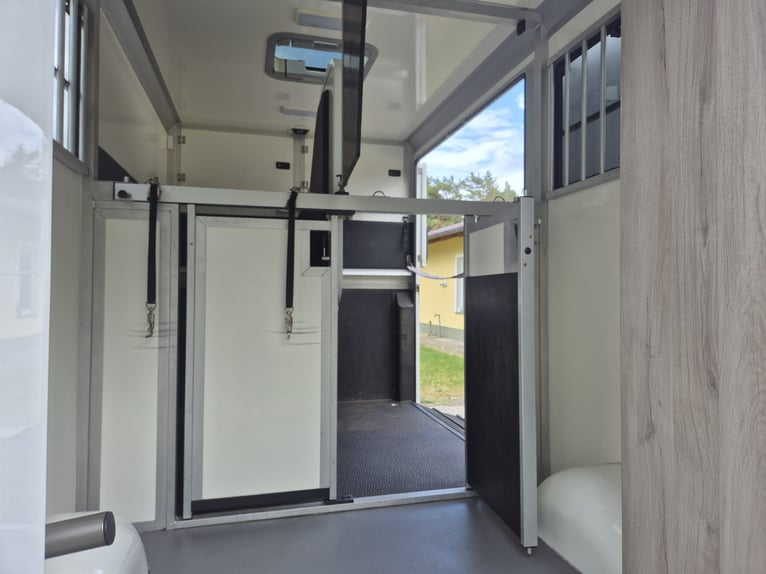 Transportín para caballos Renault Master STX | Automático | 170 CV | 3,5 toneladas | 34.700 km