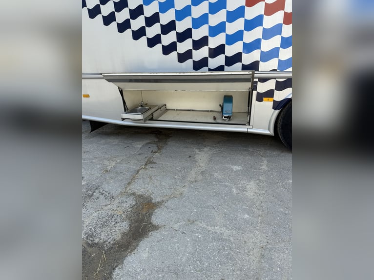 Transportista de caballos