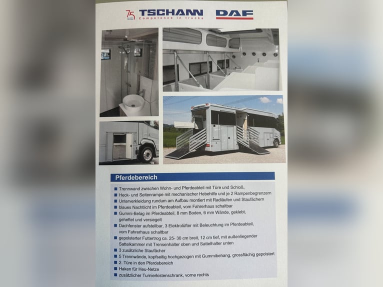 Transportista de caballos DAF XF410 Camioneta para caballos y autocaravana