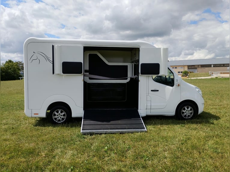 Transportista de caballos Renault Master automático, solo 35.300 km, 170 CV, transportador de ganado