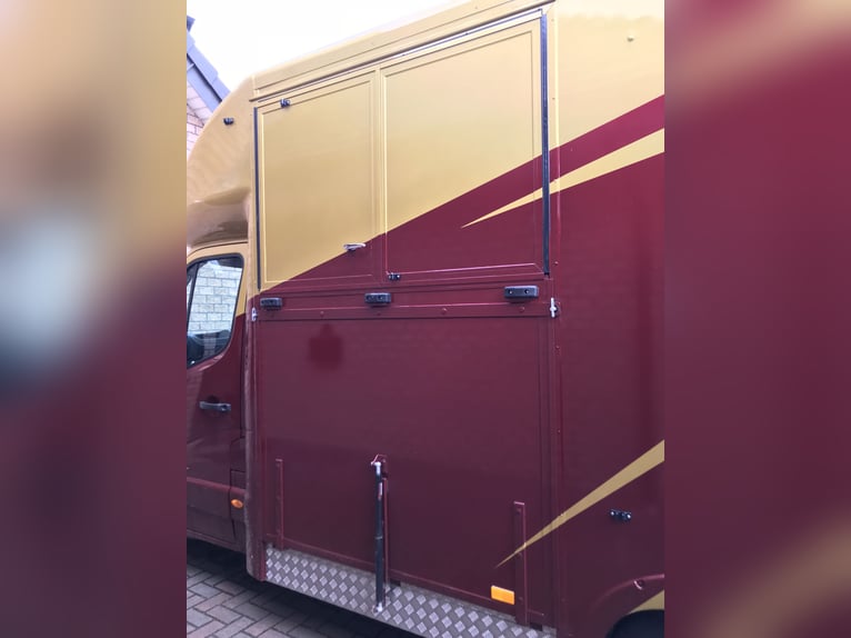 For Sale: 3.5t Horse Lorry - Excellent Condition and interesting price!