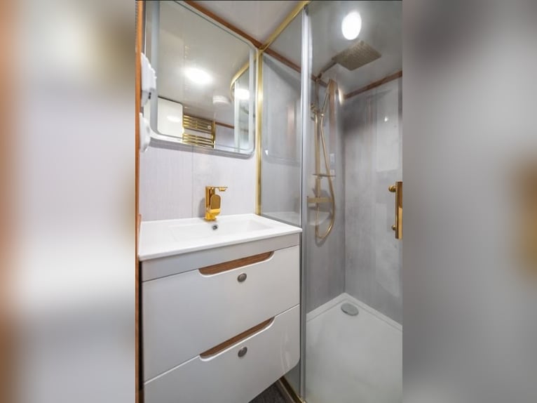 Koniowóz DAF XF 480 / EURO 6 / zabudowa specjalna na 4 KONIE