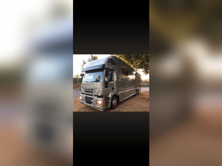 Camión Iveco STX para 6 caballos