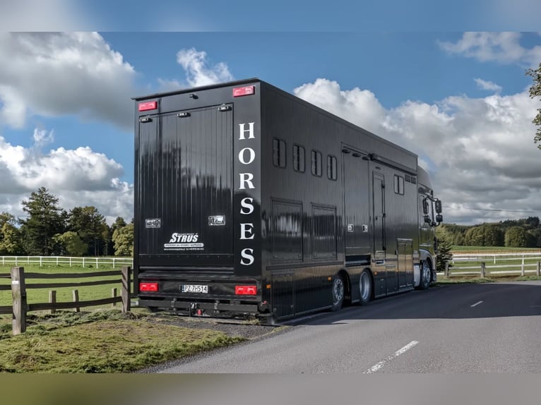 DAF XF 480 2021 + Nueva carrocería de 2026 PREMIUM, registrado para 4 personas