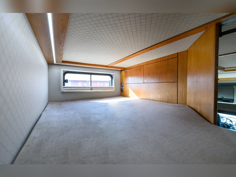DAF XF 480 2021 + Nueva carrocería de 2026 PREMIUM, registrado para 4 personas