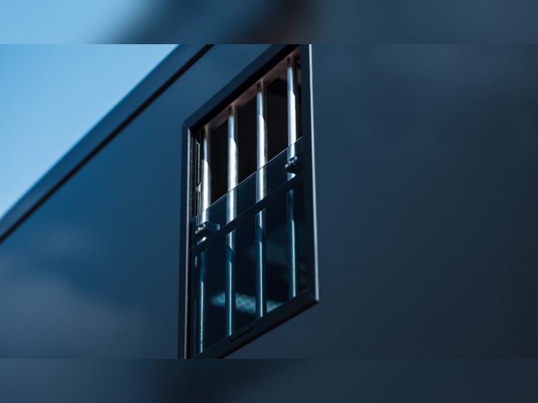 ¡Estirpe STX 2, semental de caballos! ¡Varias versiones disponibles!