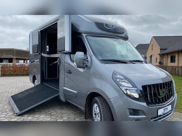 ¡Estirpe STX 2, semental de caballos! ¡Varias versiones disponibles!