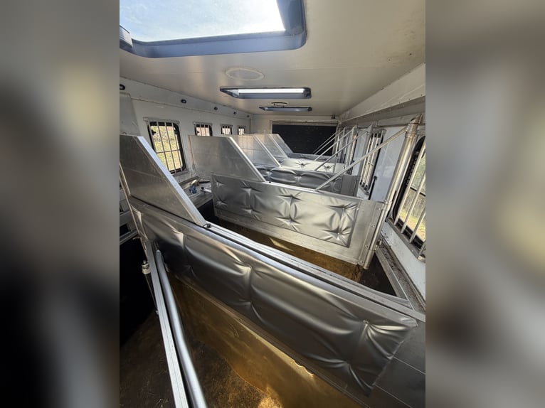 Mercedes Actros transportín de caballos para 6 caballos con alojamiento