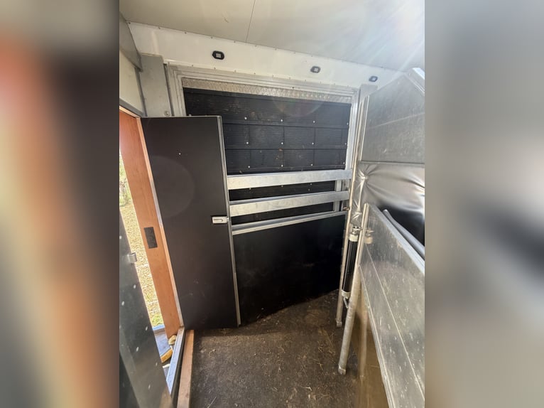 Mercedes Actros transportín de caballos para 6 caballos con alojamiento