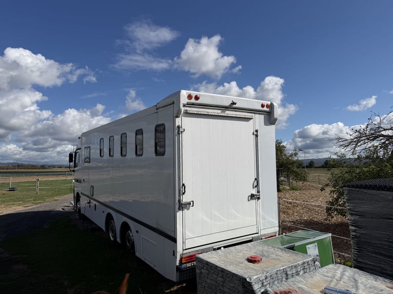 Mercedes Actros transportín de caballos para 6 caballos con alojamiento