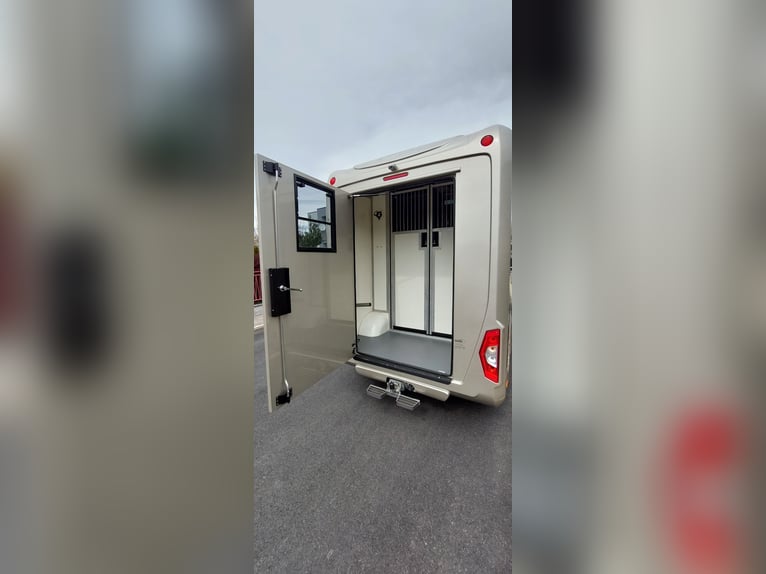 Renault Master 170 CV Euro 6 STX – Transporte de caballos HARAS