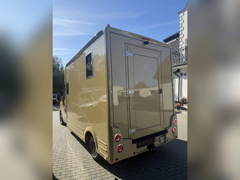Renault Master 2022 | Camión para caballos nuevo de 5 plazas para semental