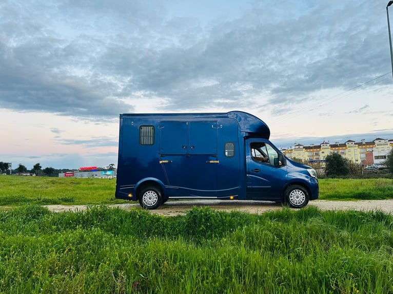 Renault Master ATM Haras – TRANSPORTADOR DE CABALLOS PREMIUM