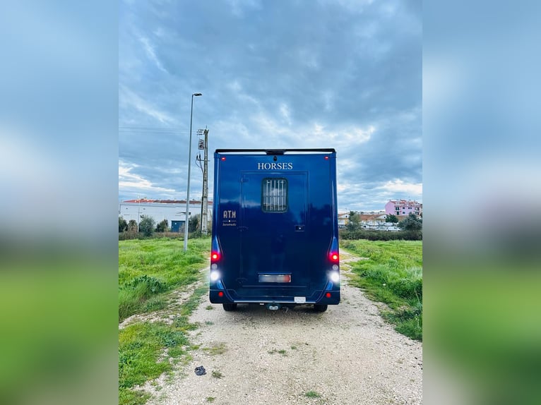 Renault Master ATM Haras – TRANSPORTADOR DE CABALLOS PREMIUM