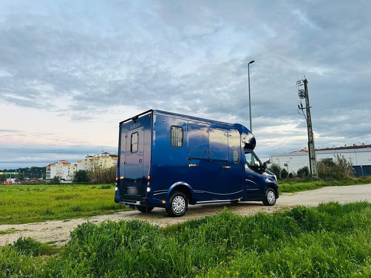 Renault Master ATM Haras – TRANSPORTADOR DE CABALLOS PREMIUM