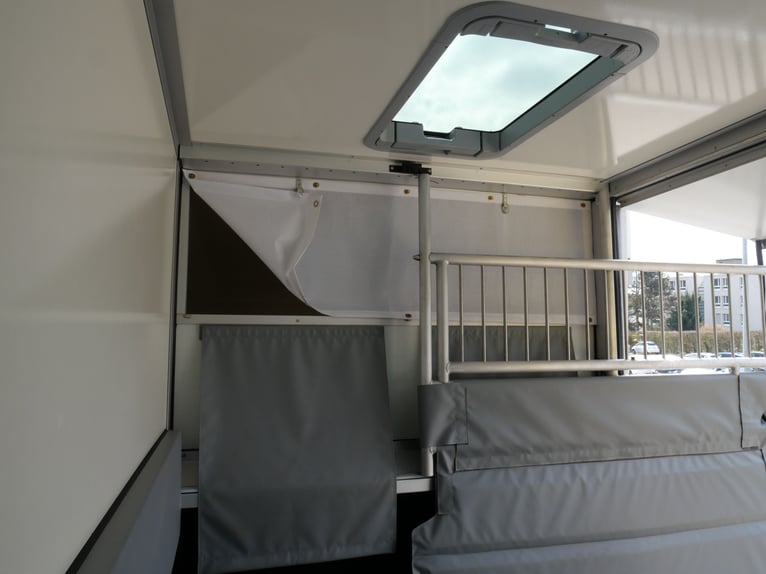 Renault Master automático MSG transportador de caballos para conductor propio