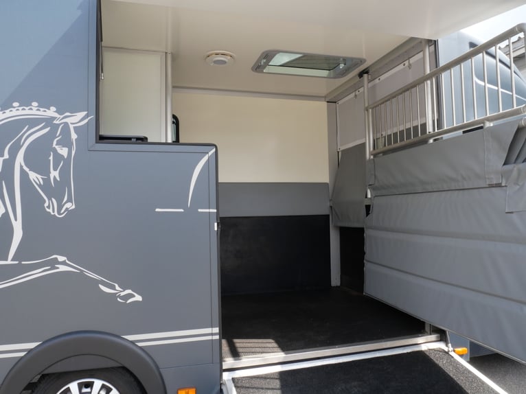 Renault Master automático MSG transportador de caballos para conductor propio