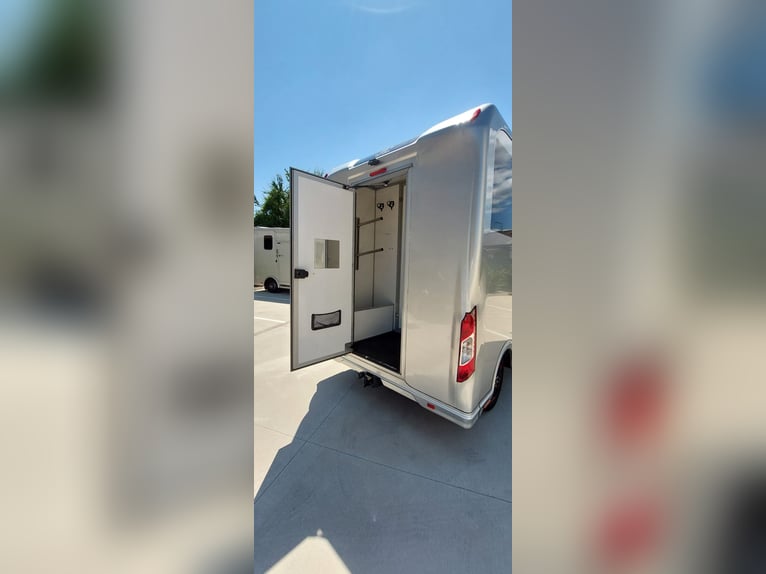 Renault Master JL Mini | 180 CV Automático | Transportador exclusivo para 1-2 caballos | HARAS-H
