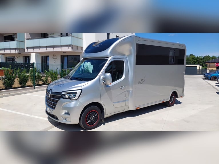 Renault Master JL Mini | 180 CV Automático | Transportador exclusivo para 1-2 caballos | HARAS-H