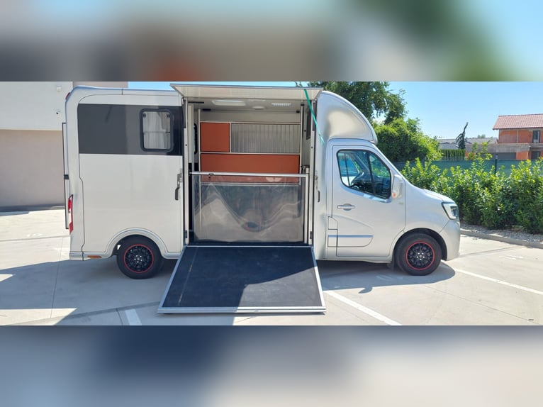 Renault Master JL Mini | 180 CV Automático | Transportador exclusivo para 1-2 caballos | HARAS-H