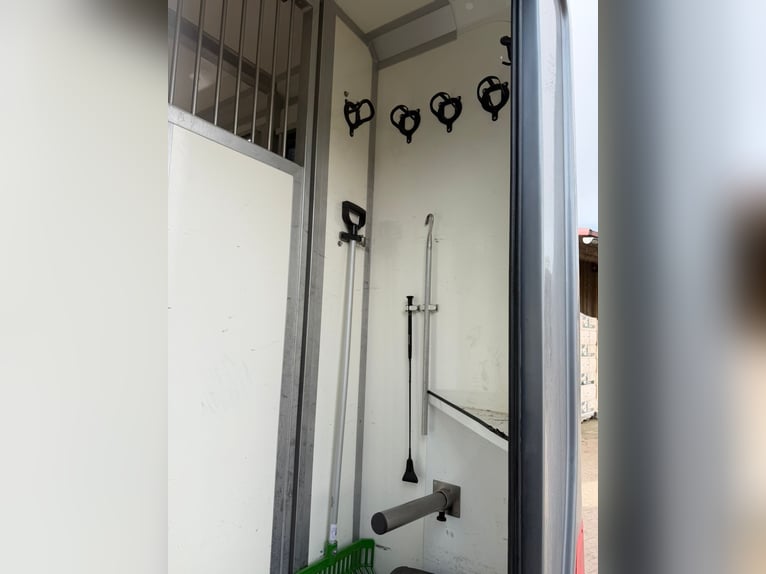 STX Opel Movano de lujo | 5 plazas y excelente cama | Cuero | 3,5 t (Clase B)