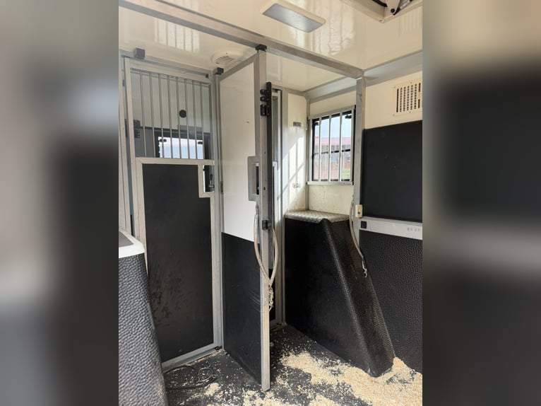 STX Opel Movano de lujo | 5 plazas y excelente cama | Cuero | 3,5 t (Clase B)