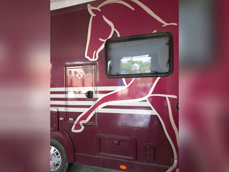 Transportador de caballos Bloomfield de 5 toneladas con vivienda