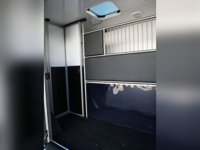 Transportador de caballos Ford Sodiak para conductor particular