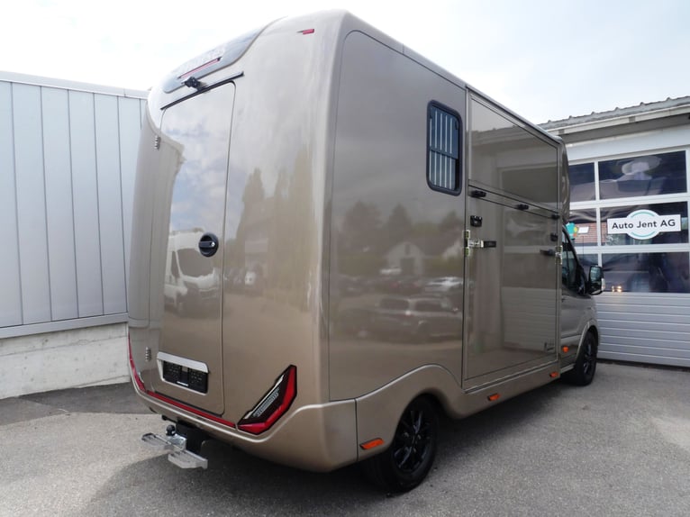 Transportador de caballos Ford Sodiak para conductor particular