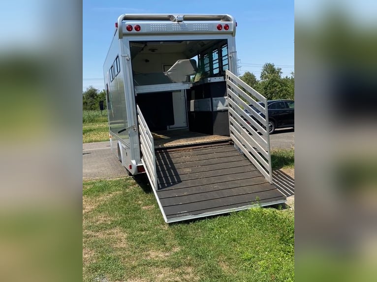 Transportador de caballos MAN de 7,5 toneladas