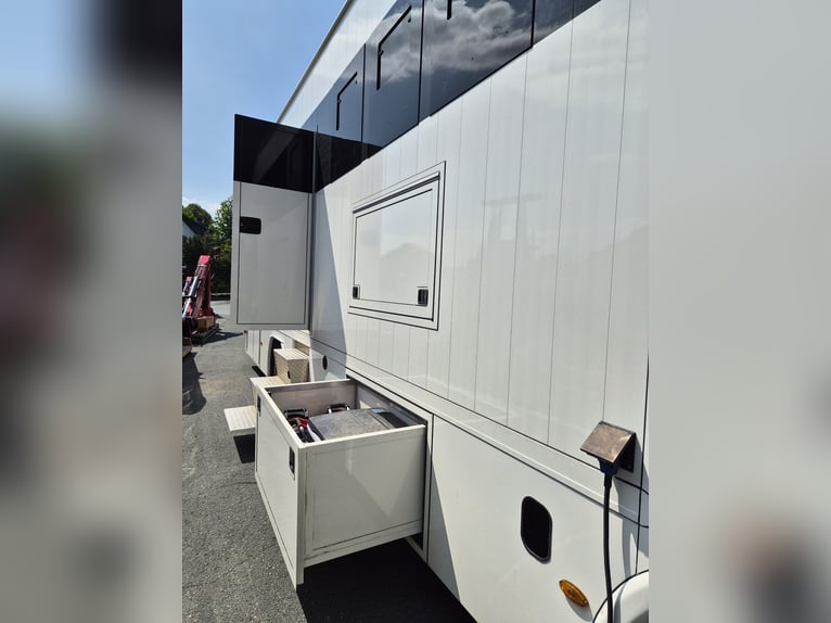 Transportador de caballos MAN TGM, 15 toneladas - prácticamente nuevo - solo 18.000 km