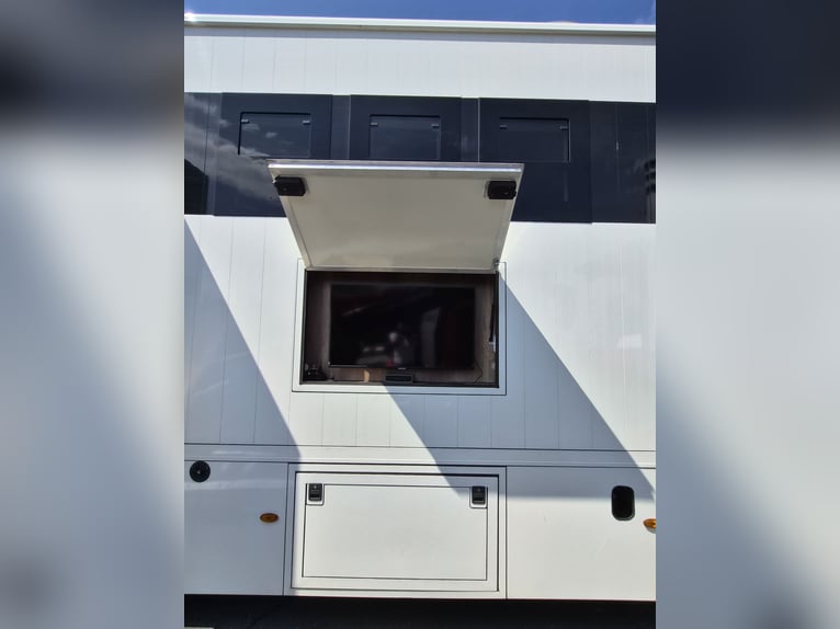 Transportador de caballos MAN TGM, 15 toneladas - prácticamente nuevo - solo 18.000 km