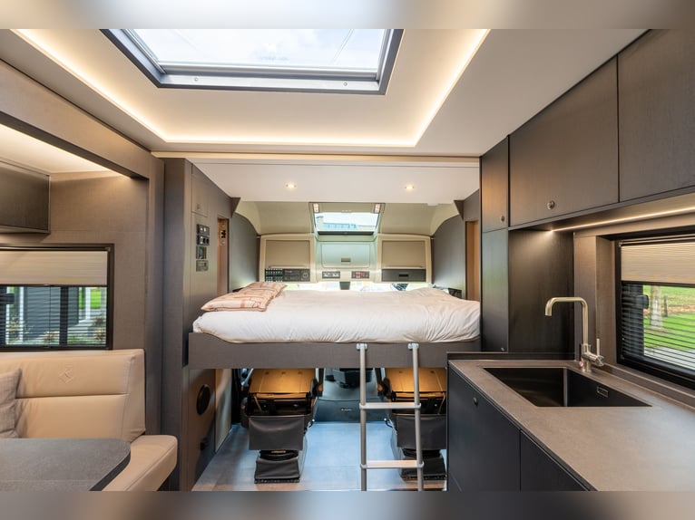 Transportador de caballos Roelofsen RR6 XL Profiliner, remolque para caballos, modelo Pop-Out, capac