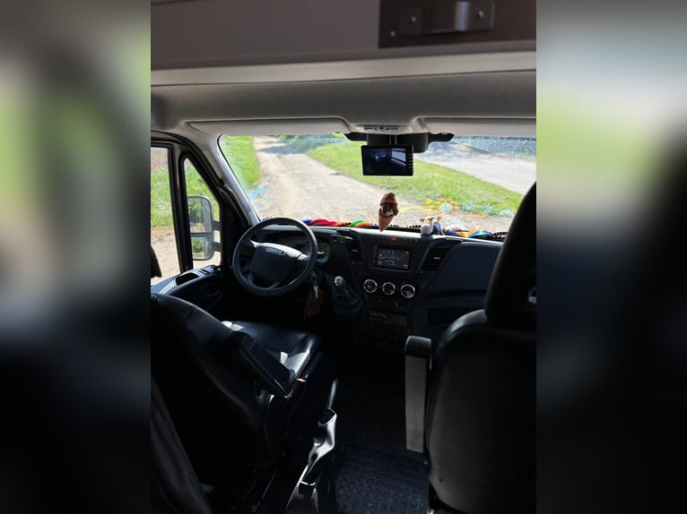 Transportista de caballos Iveco Daily | Camión para caballos | libre de peajes | ITV recién pasada