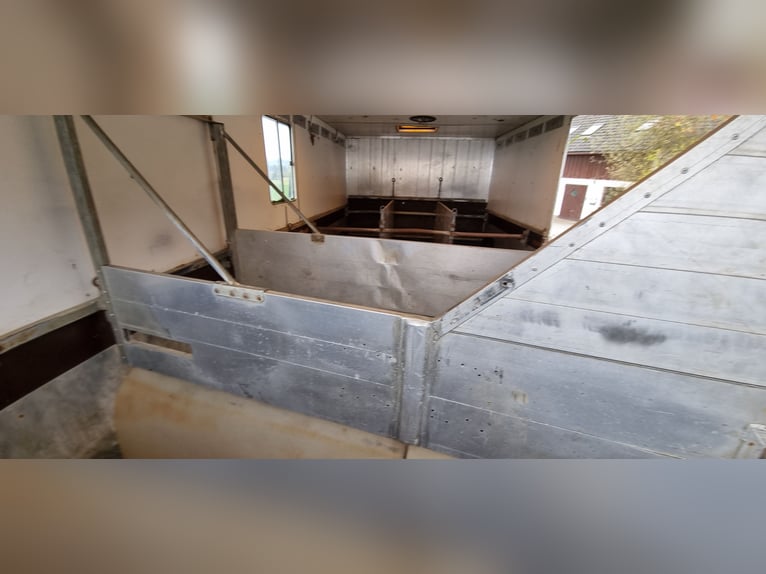 MAN Pferdetransporter mit Stallzelt ohne TÜV