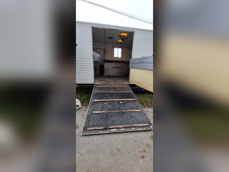 MAN Pferdetransporter mit Stallzelt ohne TÜV