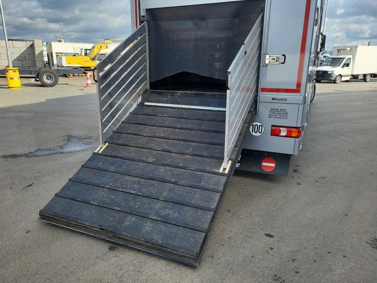 Mercedes-Benz Actros 2551 Horse Truck + Living (2017) —  5–6 horses — 23.236 km — Euro 6