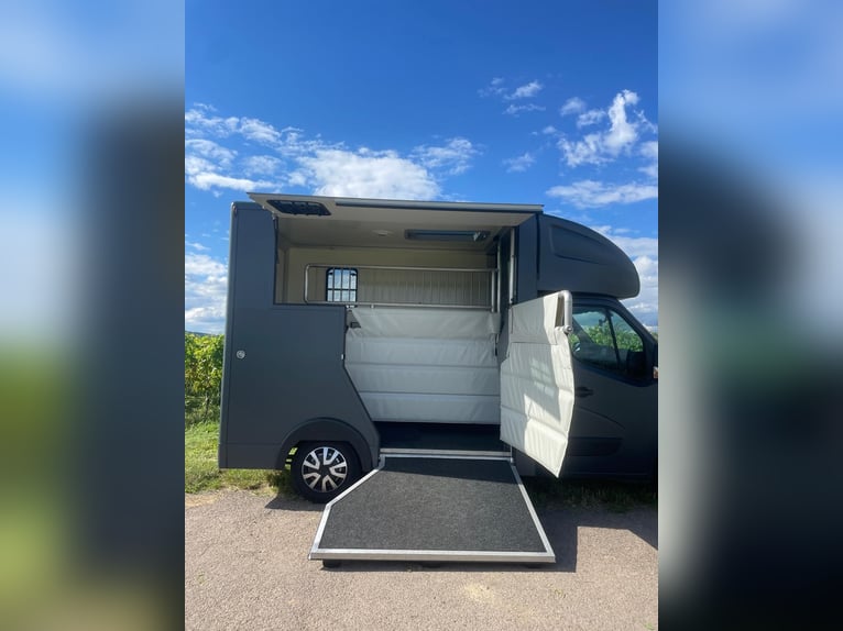 MSG Stablehopper Superlight 8700km Automatik 2 Großpferde