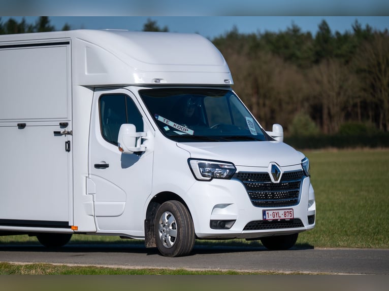 Nuevo camión de transporte de caballos Renault Master para 2 caballos, ultraligero