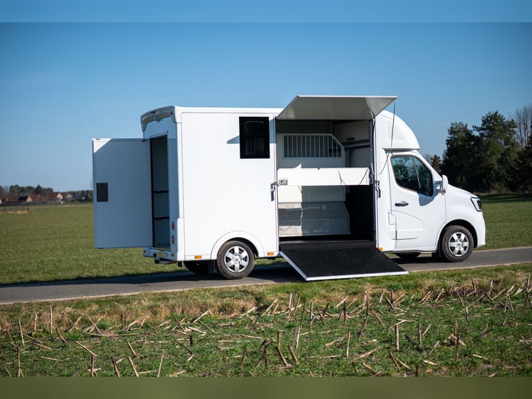 Nuevo camión de transporte de caballos Renault Master para 2 caballos, ultraligero