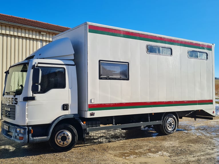 Pferdetransporter LKW MAN TGL8.180