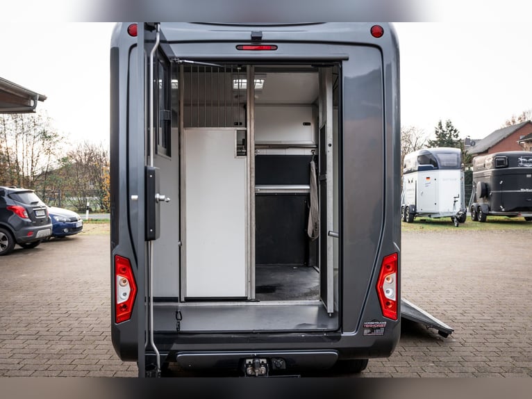 Pferdetransporter LKW Sprinter Renault Master STX 3 Haras