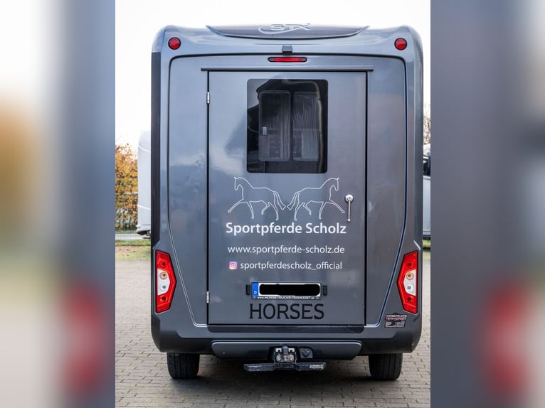 Pferdetransporter LKW Sprinter Renault Master STX 3 Haras