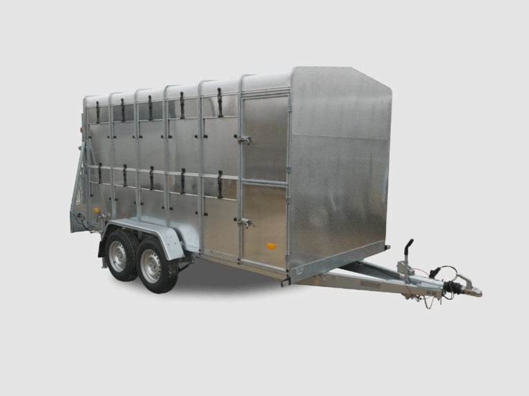Remolque Niewiadów VT2736 – Transporte de ovejas y bovinos – Chasis galvanizado