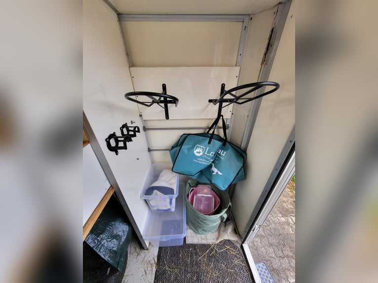 Renault dci120 Pferdetransporter