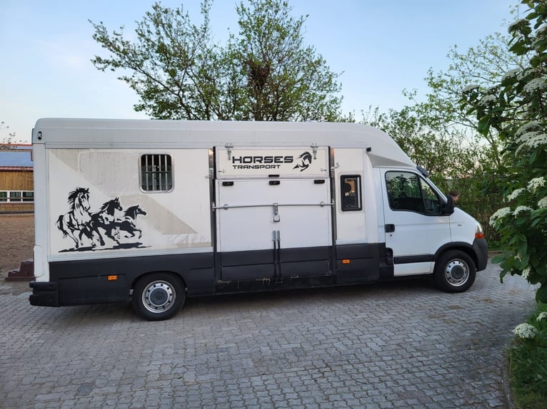 Renault dci120 Pferdetransporter