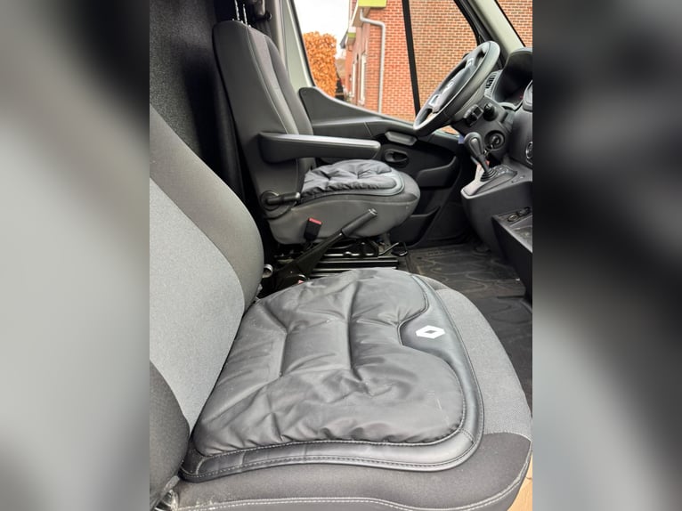 Renault JK Horsebox, versión para semental!